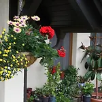 Apartmán Zdarske Vrchy Světnov