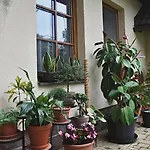 Zdarske Vrchy *