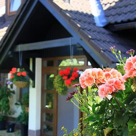 Zdarske Vrchy Apartmán *